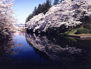桜の松岬公園